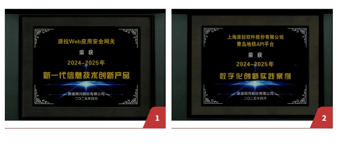 雙項殊榮！派拉軟件“Web應用安全網關+API安全創(chuàng)新實踐”獲2025權威獎項